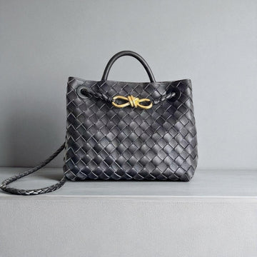 Bottega Veneta Small Andiamo Bag 25cm Souple Intrecciato Leather Knot