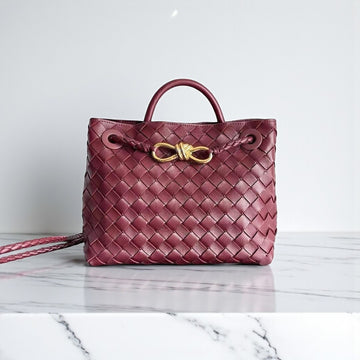Bottega Veneta Small Andiamo Bag 25cm Souple Intrecciato Leather Knot